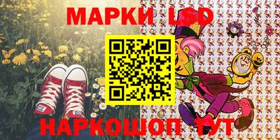 шишки Изобильный