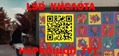 шишки Изобильный