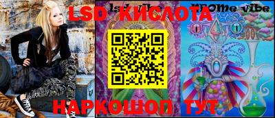 шишки Изобильный
