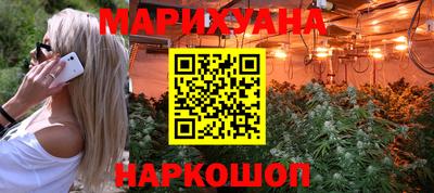 шишки Изобильный