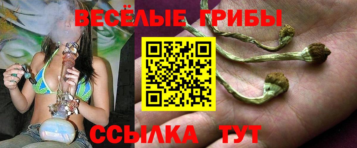 Ликино-Дулёво  Галлюциногенные грибы ЛСД  Псилоцибиновые грибы Cubensis  Вход с VPN 
