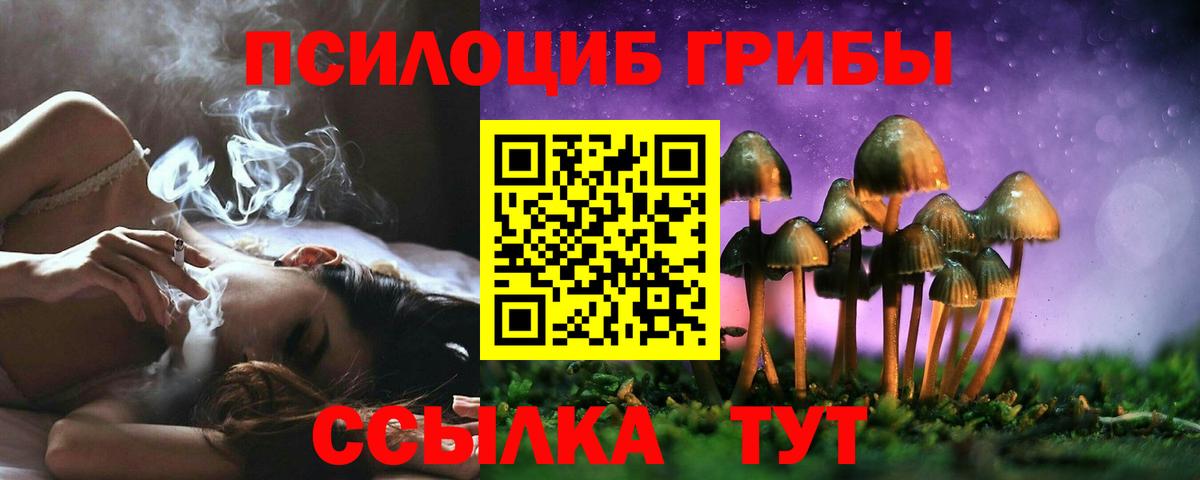 Галлюциногенные грибы MAGIC MUSHROOMS Ликино-Дулёво